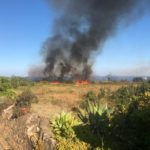 Incendi in Sicilia, pompieri in azione