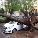 Alberi caduti sulla Palermo-Catania, due feriti