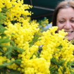 8 marzo: mimose e fiori per una donna su 3