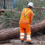 Paternò, ordinanza del sindaco su alberi vicino ferrovia