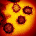 Coronavirus, scoperto primo farmaco per neutralizzarlo
