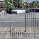 Paternò, capre in piscina. Ripristinata recinzione divelta