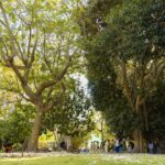 A Catania il primo asilo gratuito per bambini disabili