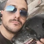 Paternò, Randagismo. Parla Giuseppe Panassidi di “Uniti per gli Animali”